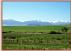 Montana ranchs and farms